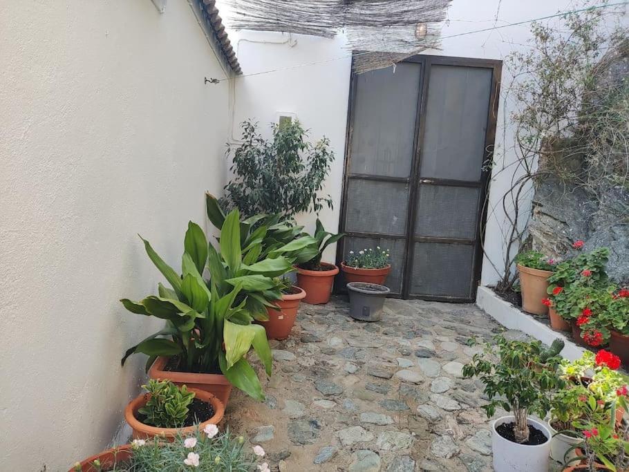Casa En El Valle De Guainosaltos Adra Eksteriør bilde