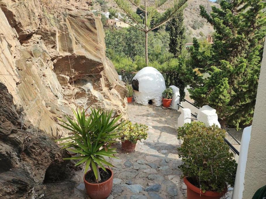Casa En El Valle De Guainosaltos Adra Eksteriør bilde